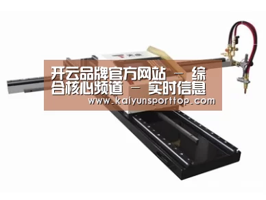 案例展示一