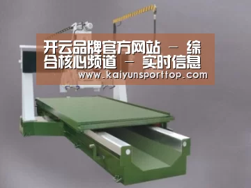 产品名称十