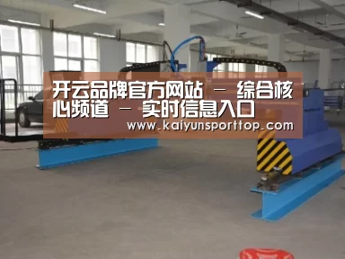 产品名称十九