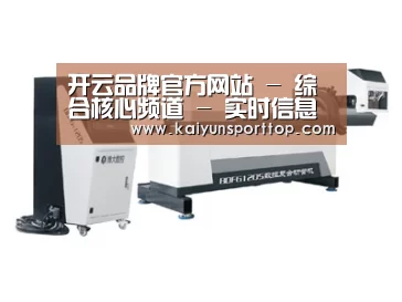 案例展示四