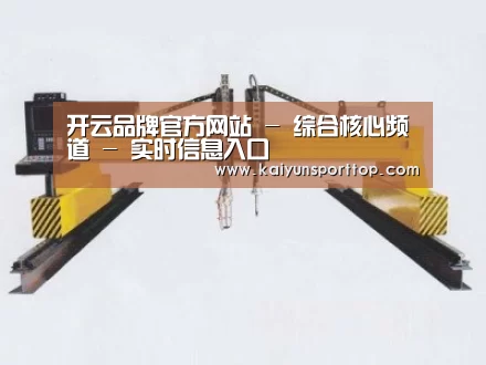 产品名称十七