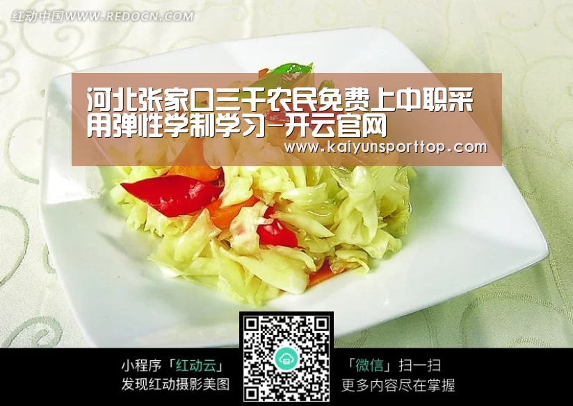 河北张家口三千农民免费上中职采用弹性学制学习-开云官网